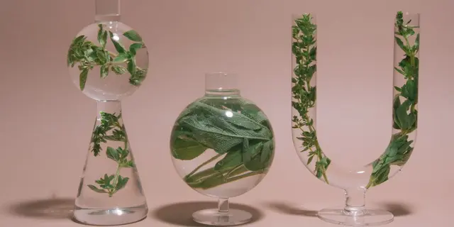 mold